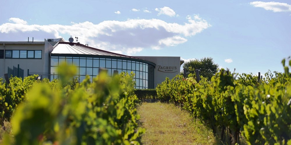 Zagreus Winery in de Thracische Laagvlakte in Bulgarije – wijnproducent gespecialiseerd in Mavrud en wijnen van Mavrud